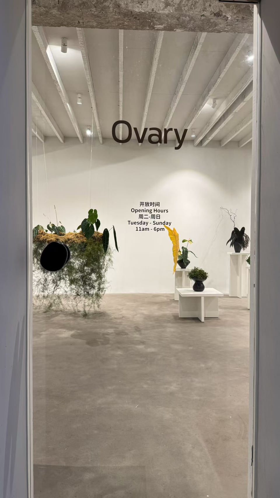 Exhibition image 1