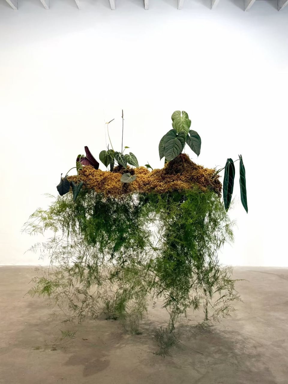 Exhibition image 2