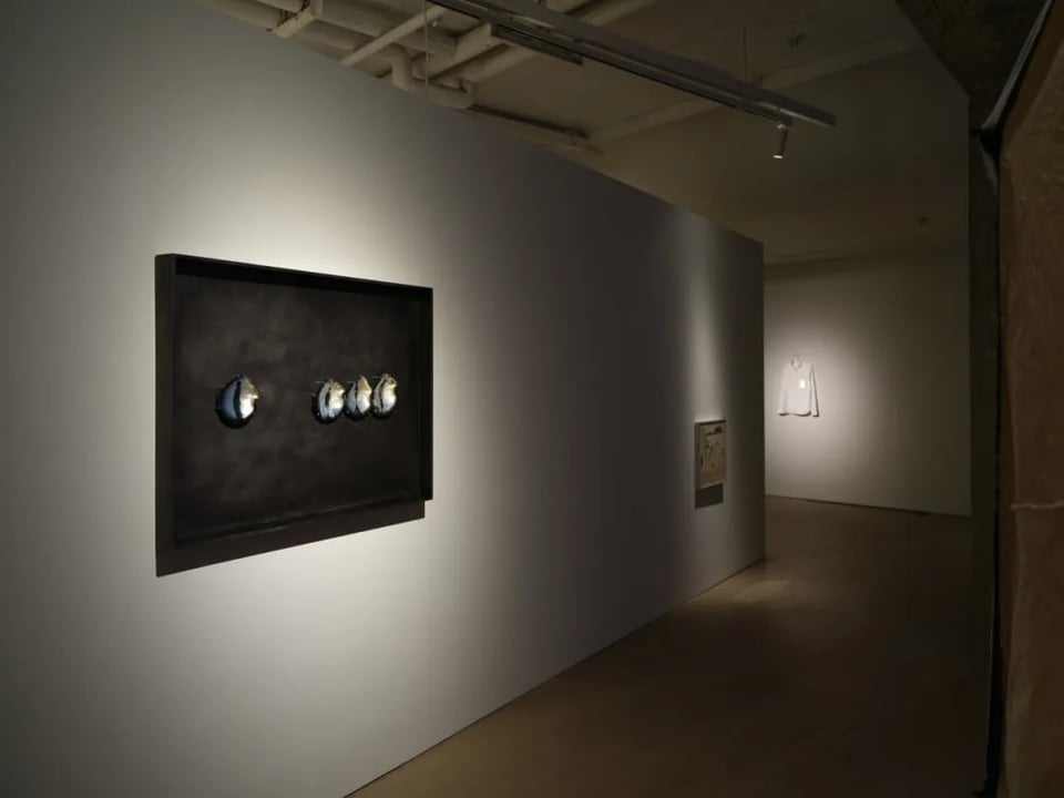 Exhibition image 2