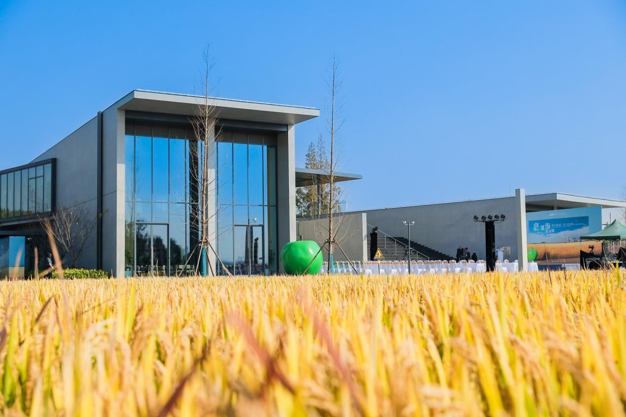 Jiayuanhai Art Museum