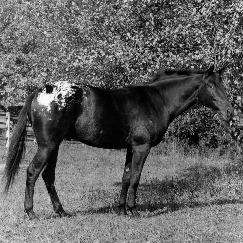 Exhibition image 3