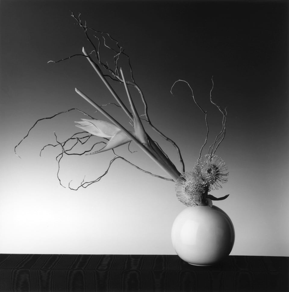 Exhibition image 1