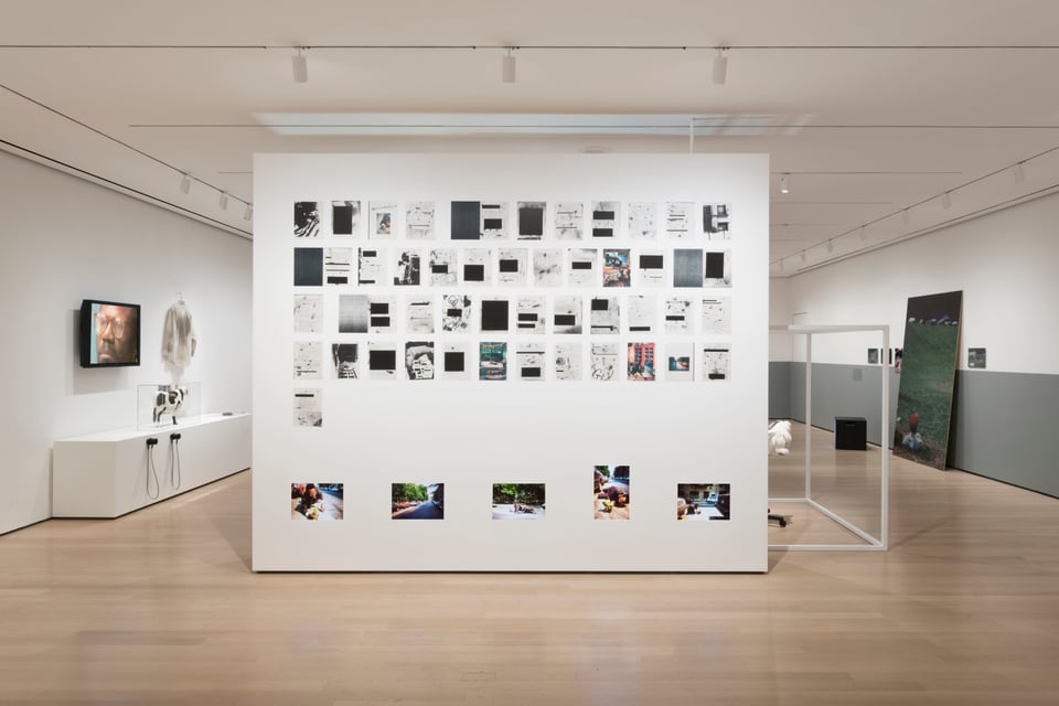 Exhibition image 4