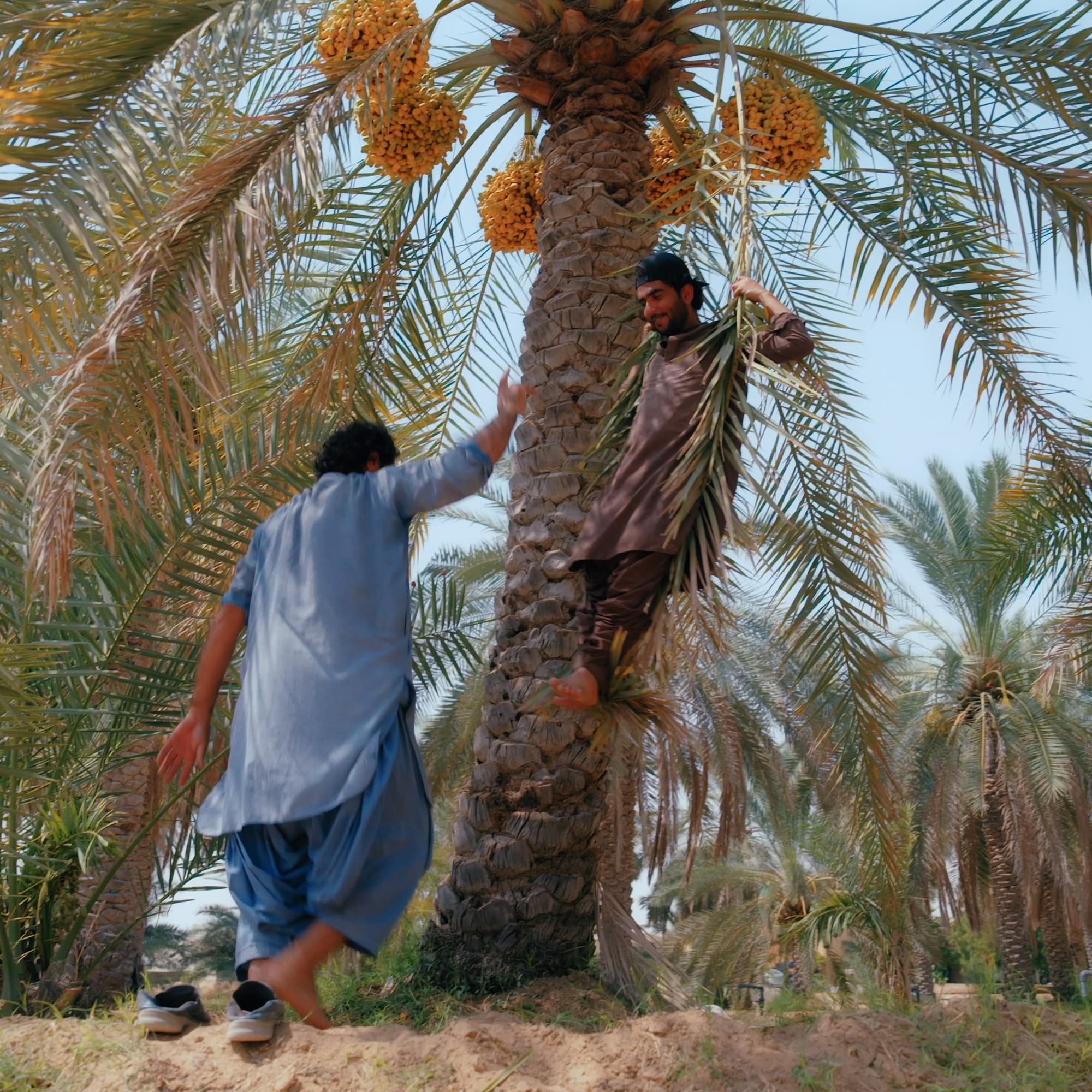 It's Spring Outing Time!