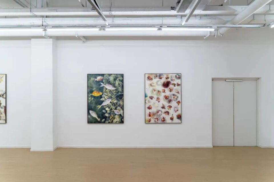 Exhibition image 8