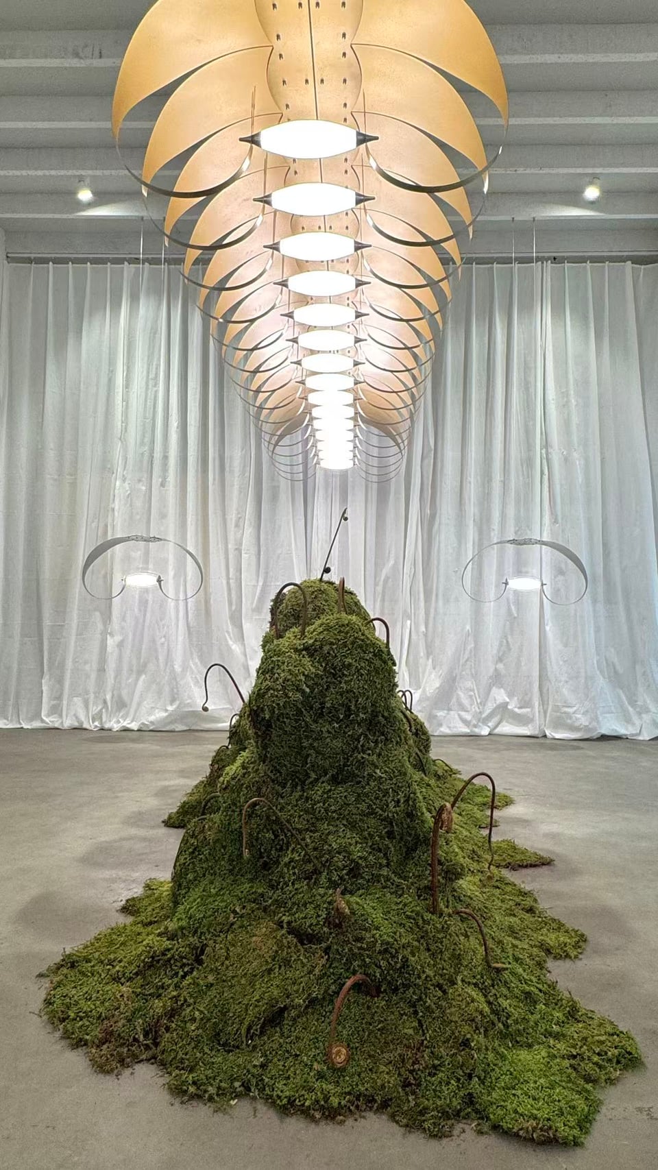 Exhibition image 1