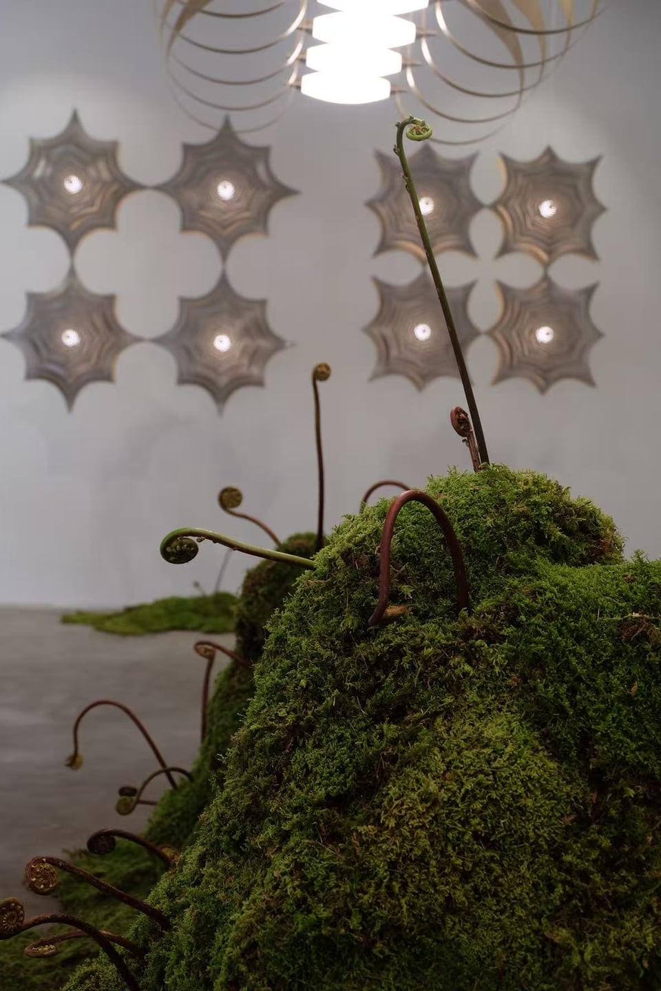 Exhibition image 7