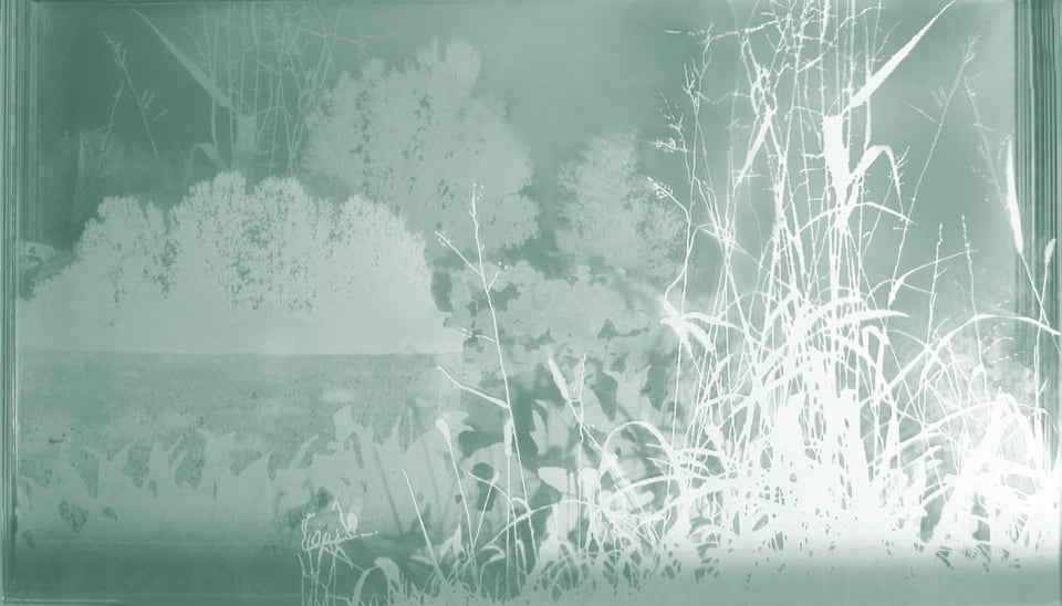 Exhibition image 5