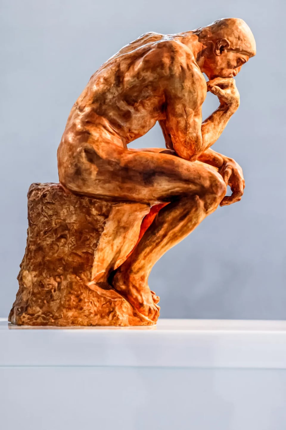 Exhibition image 2