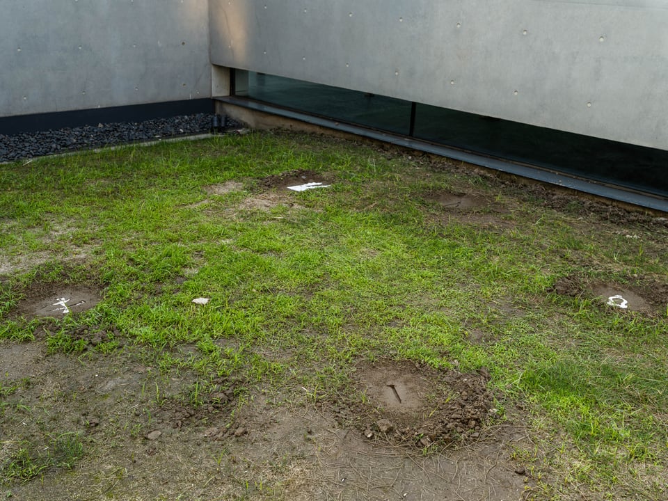 Exhibition image 7