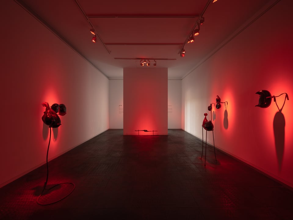 Exhibition image 5