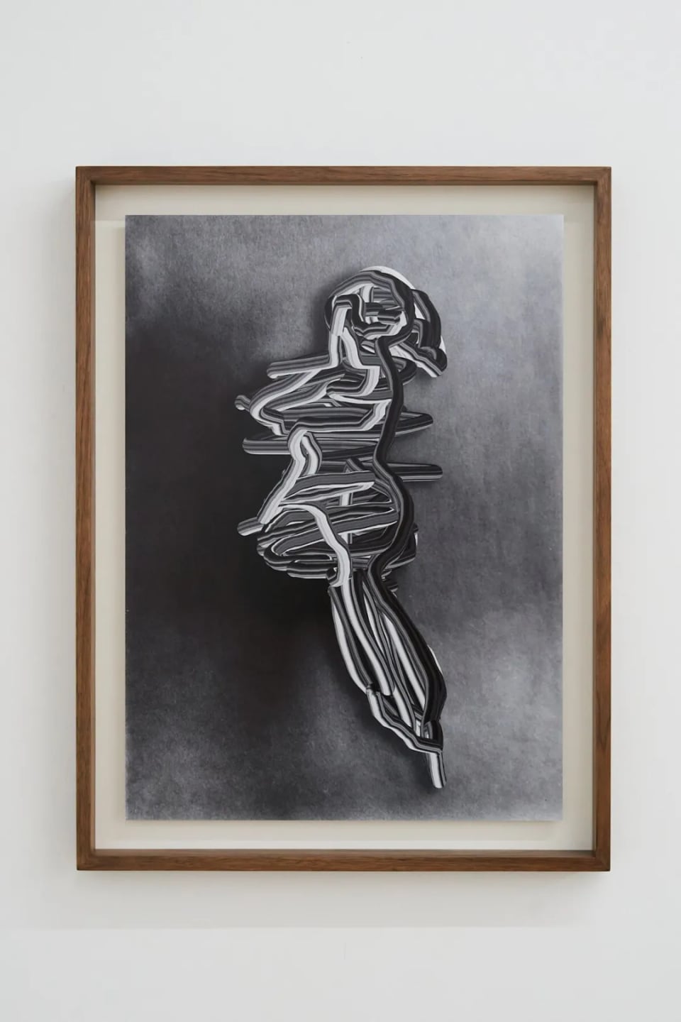 Exhibition image 1