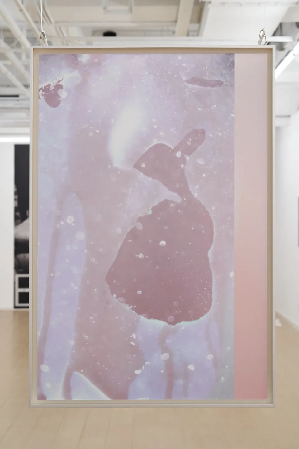 Exhibition image 6