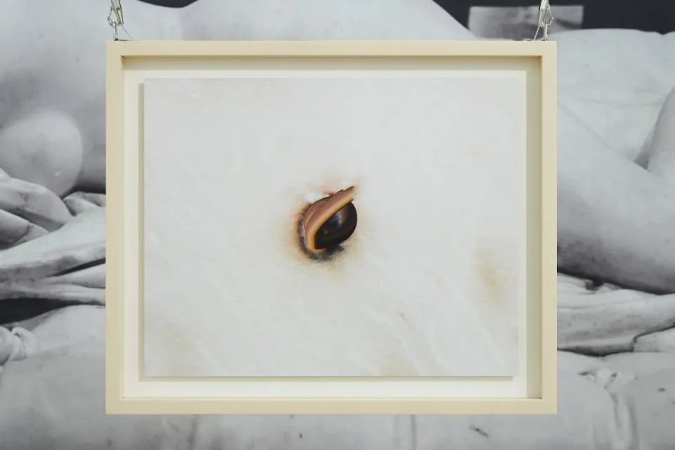 Exhibition image 2
