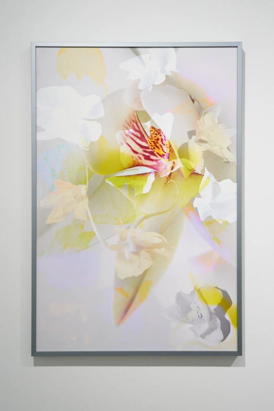 Exhibition image 8