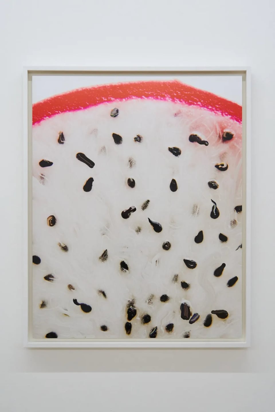 Exhibition image 3