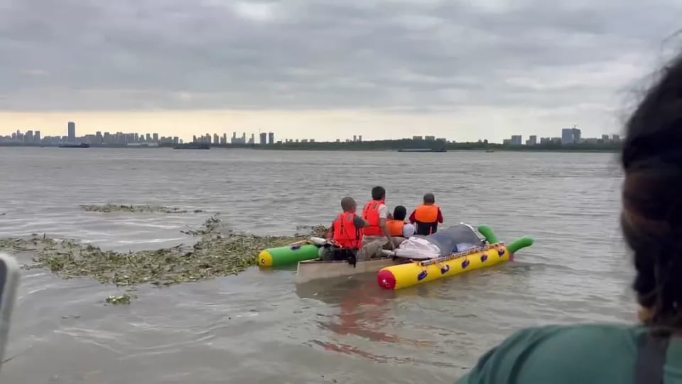 Dock Project: Eat the River by the River