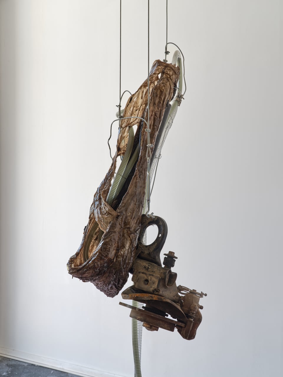 Exhibition image 6