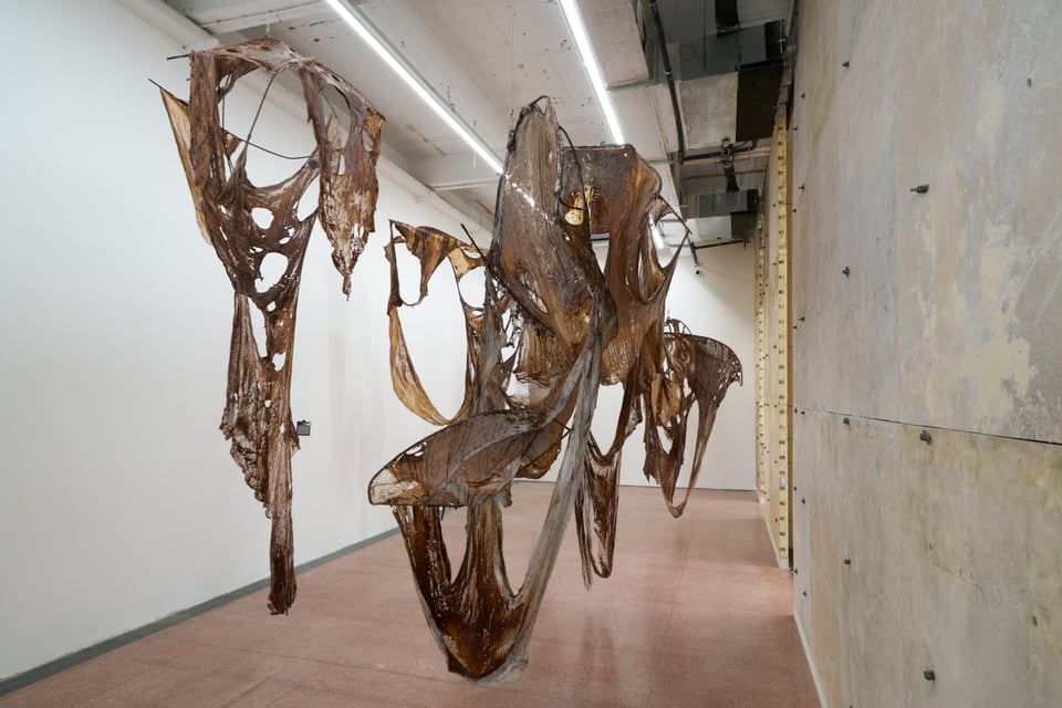 Exhibition image 1