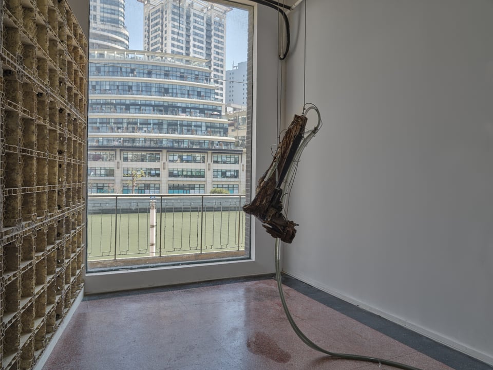 Exhibition image 5