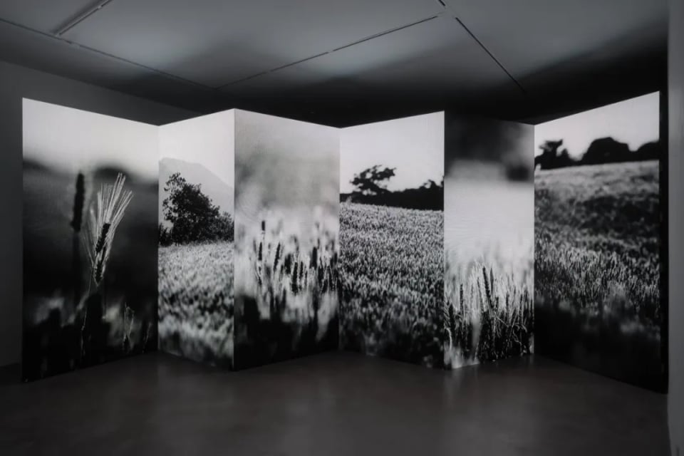 Shanshui Action: Shanshui Moving Image Installation Art Exhibition (Shanghai Stop)