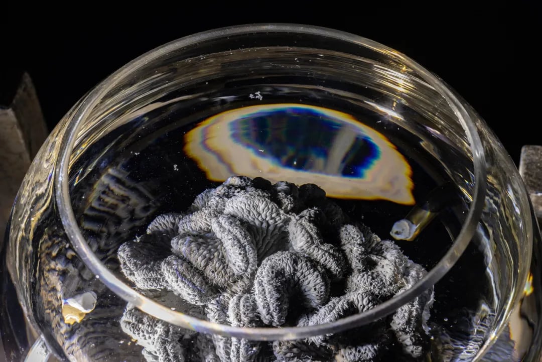 LIU Ren & ZHANG Ruyi: Everything is on time, only time was never ours.