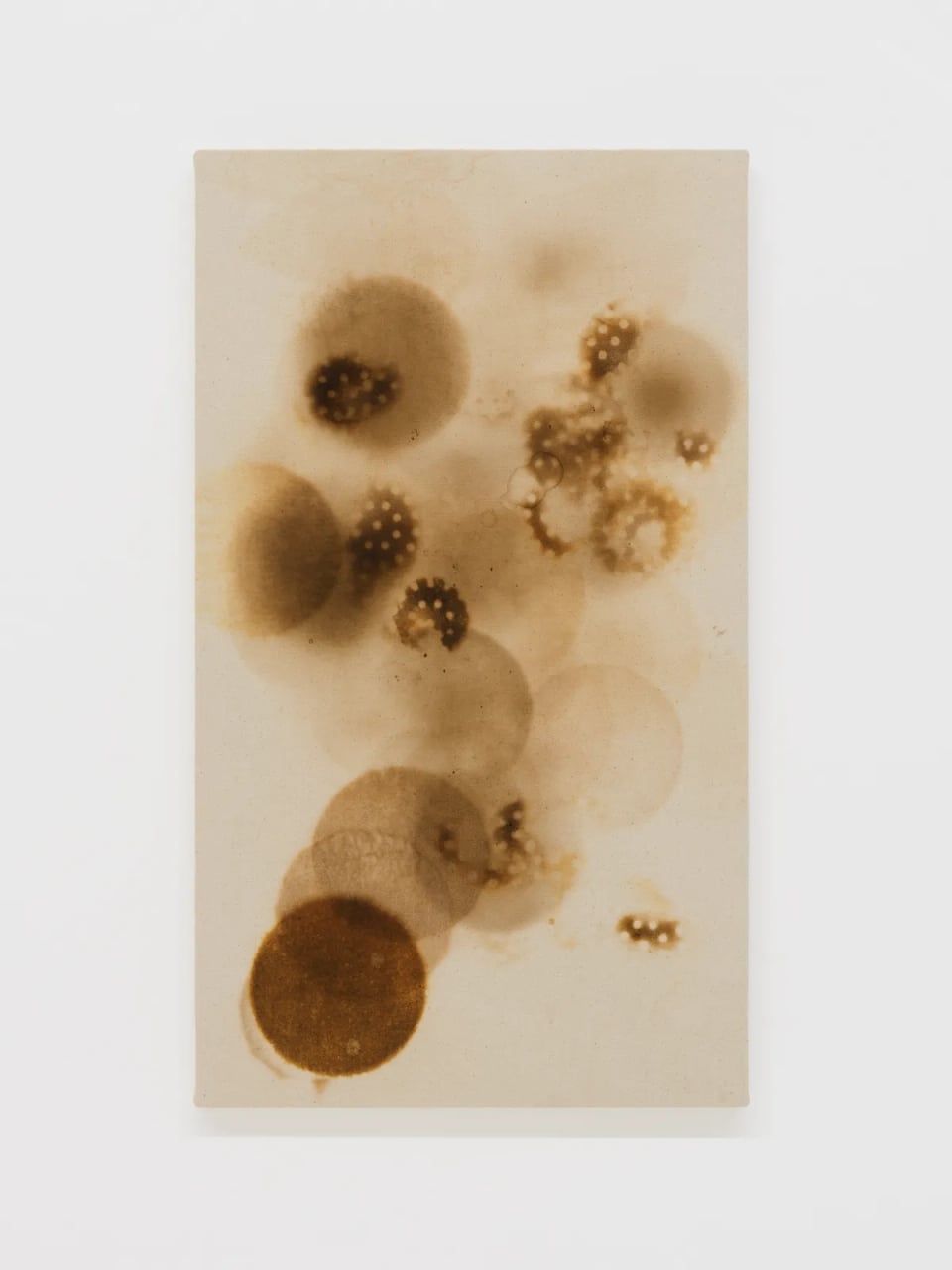 Exhibition image 4
