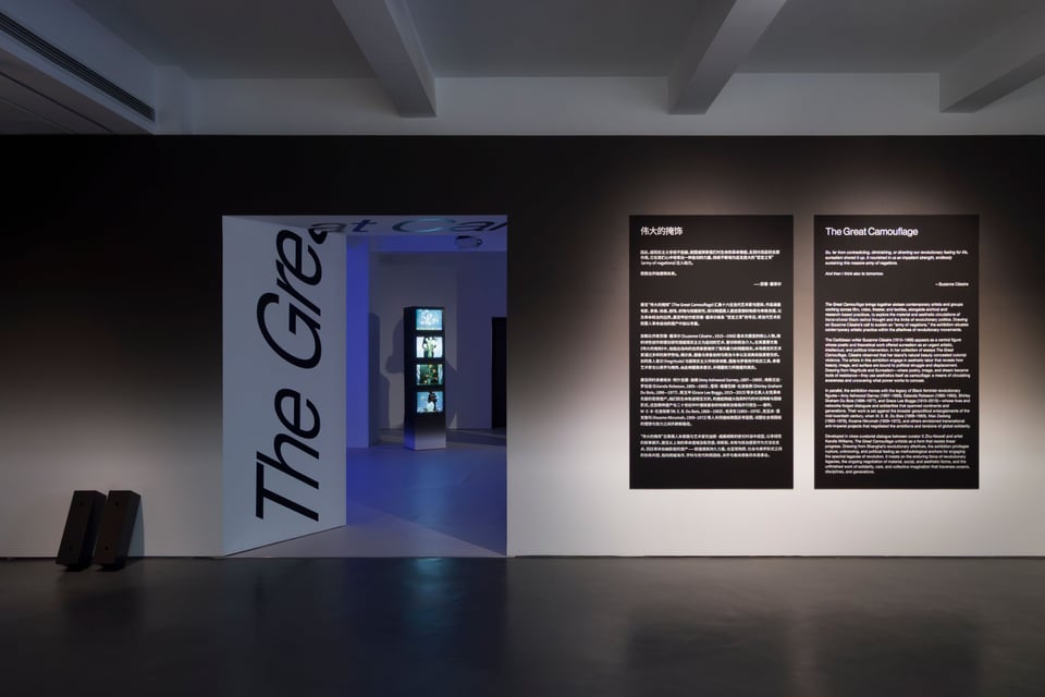 Exhibition image 2