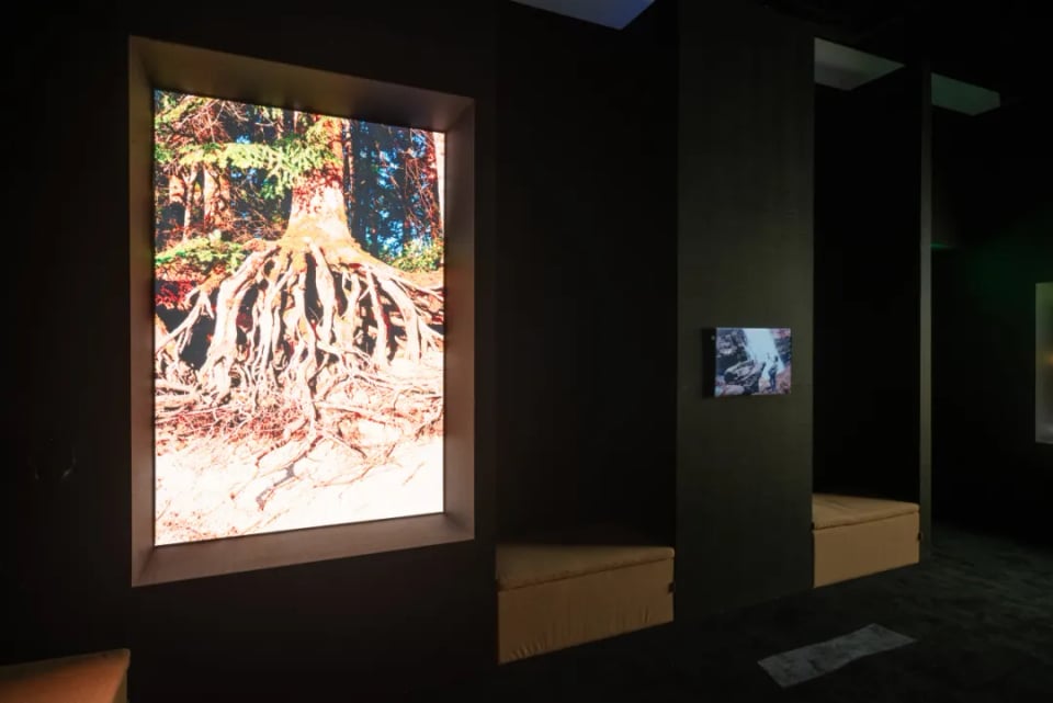 Exhibition image 7