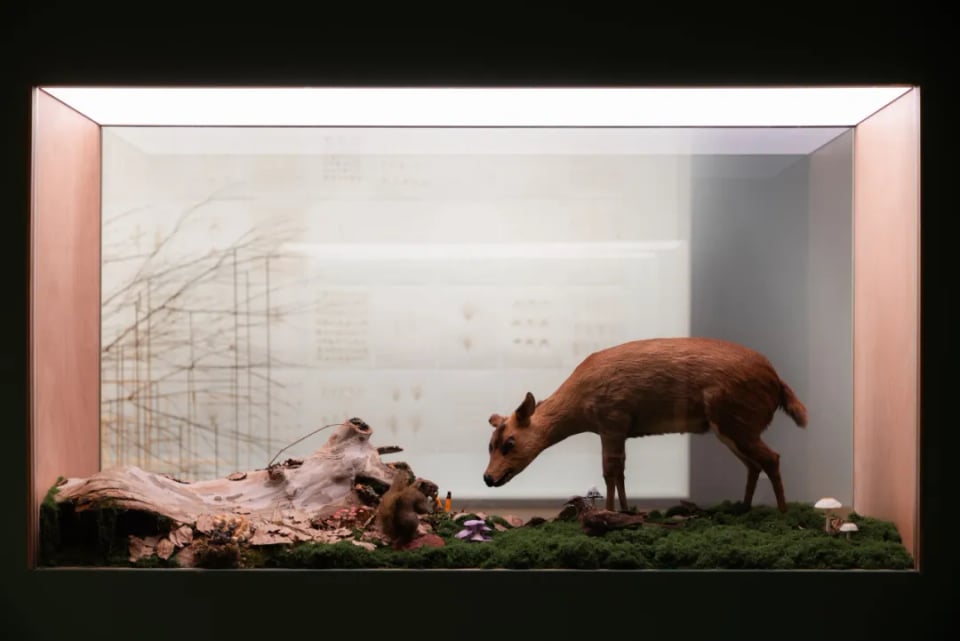 Exhibition image 6