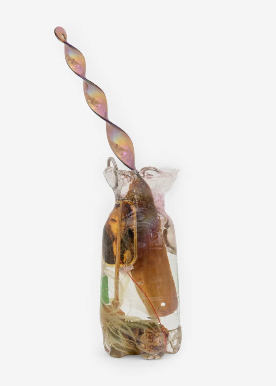 Winter worm, summer grass