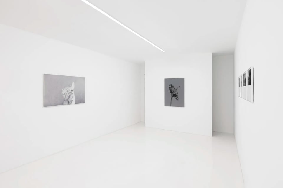 Exhibition image 6