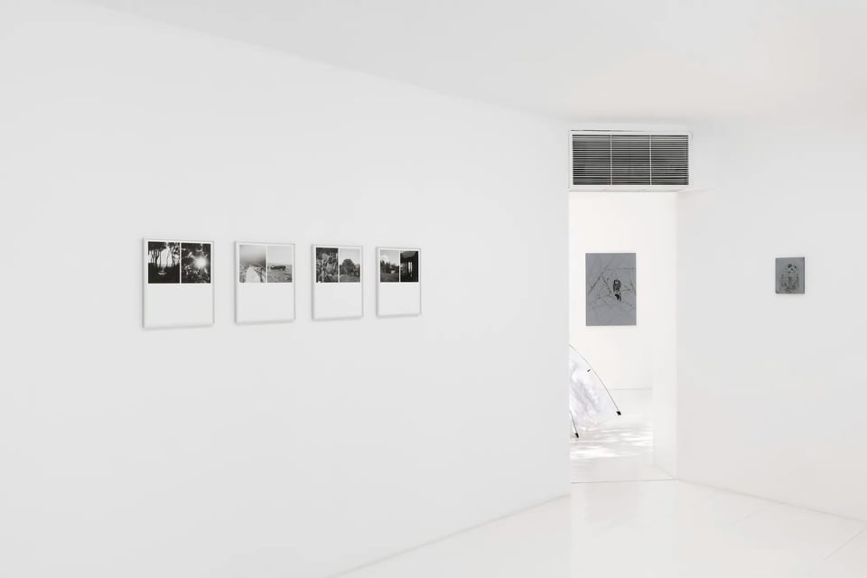 Exhibition image 4