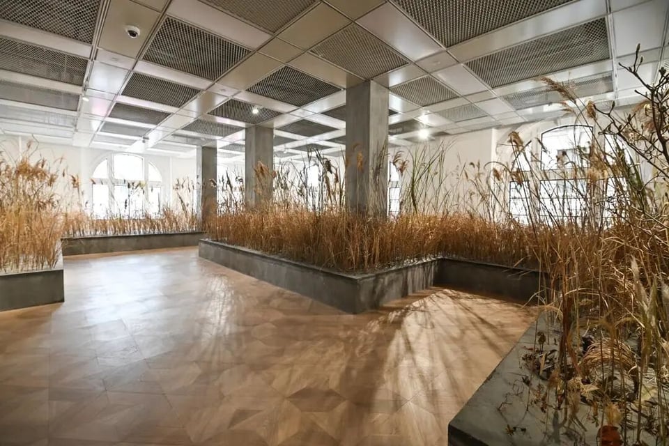 Exhibition image 4