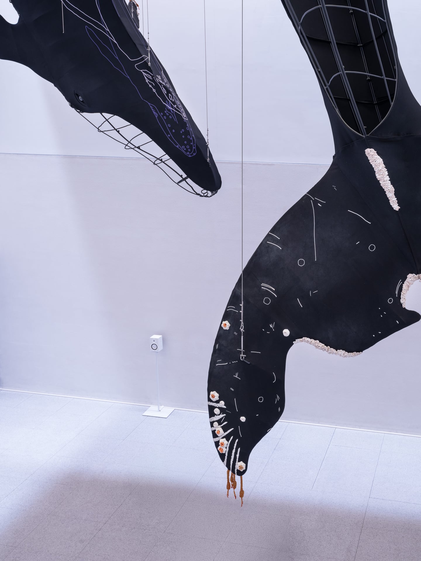 Carolina Caycedo: Salute of the Whales