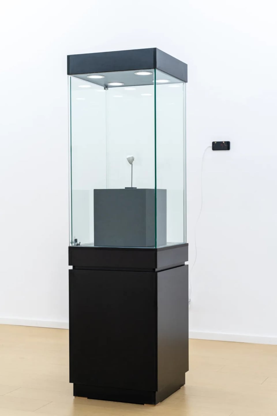 Exhibition image 4