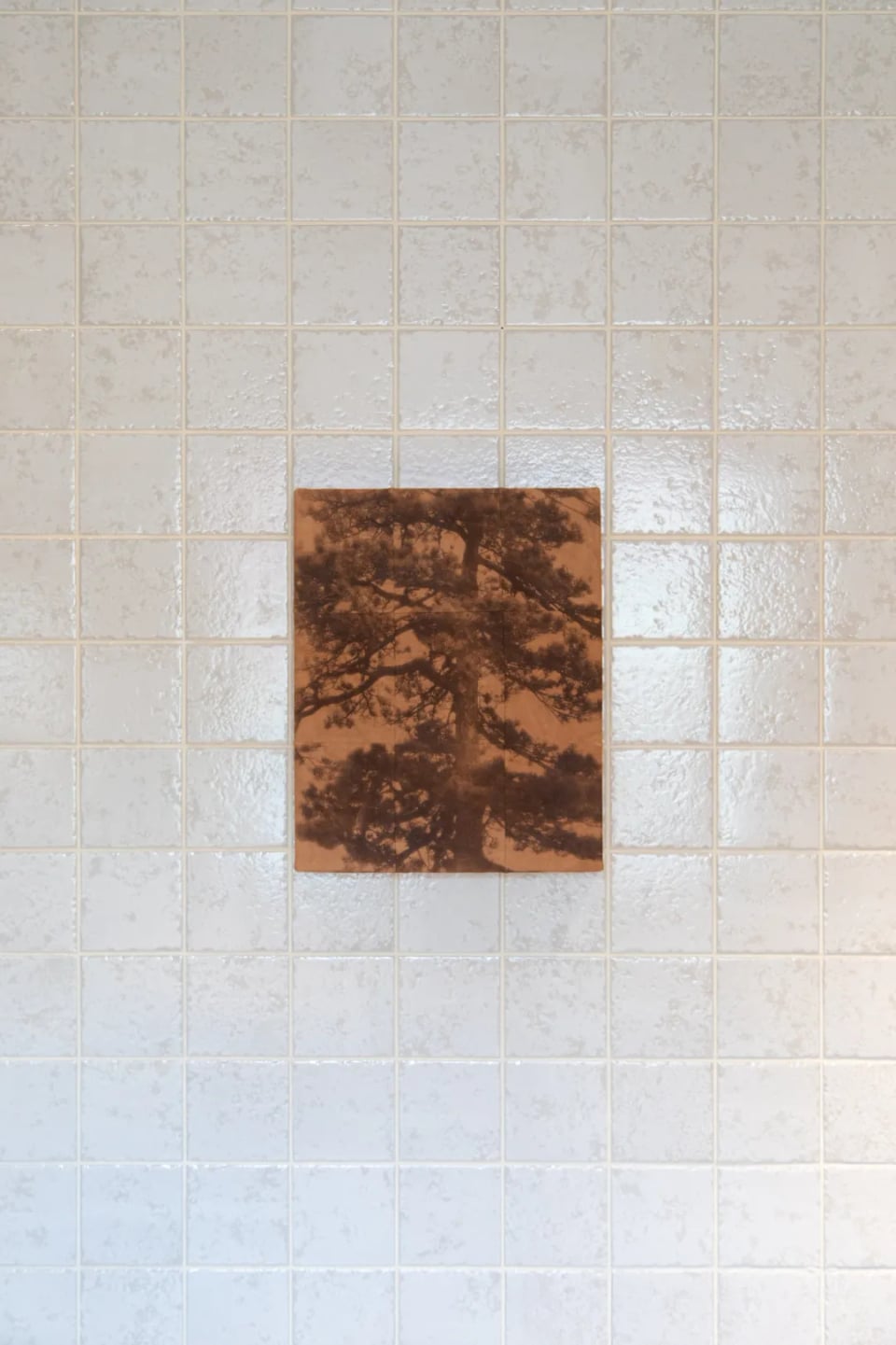 Exhibition image 5