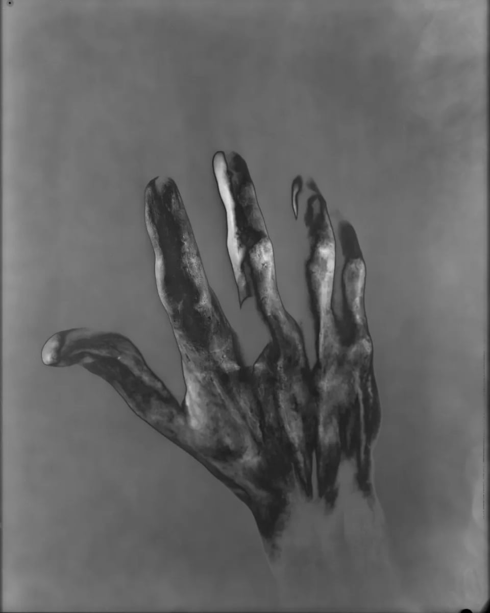 Exhibition image 4