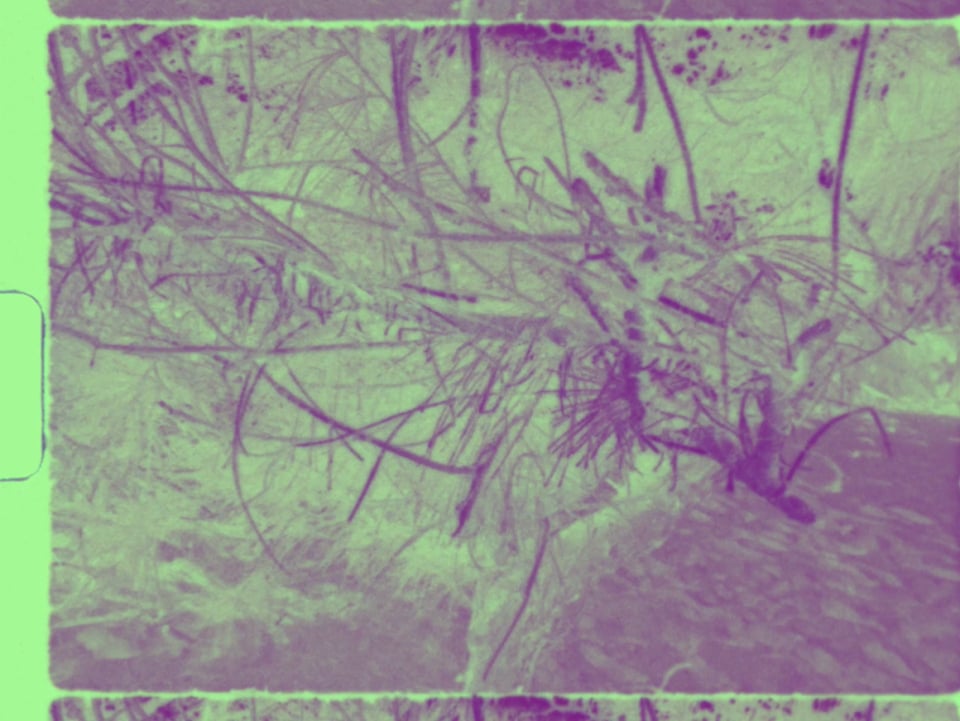 Exhibition image 4