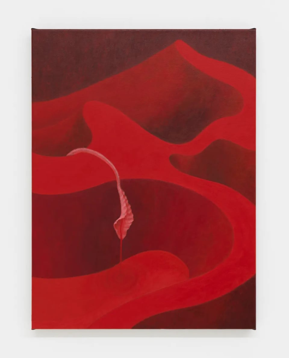 Mevlana Lipp: Beneath an Empty Sky