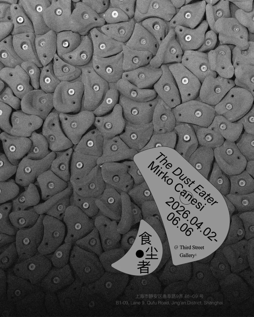 Mirko Canesi: The Dust Eater