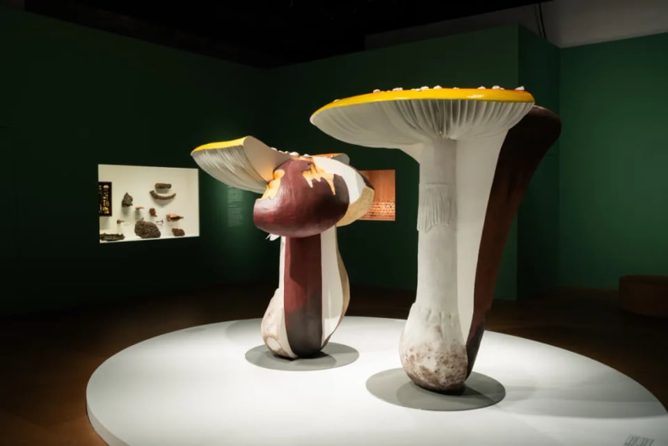 Exhibition image 1