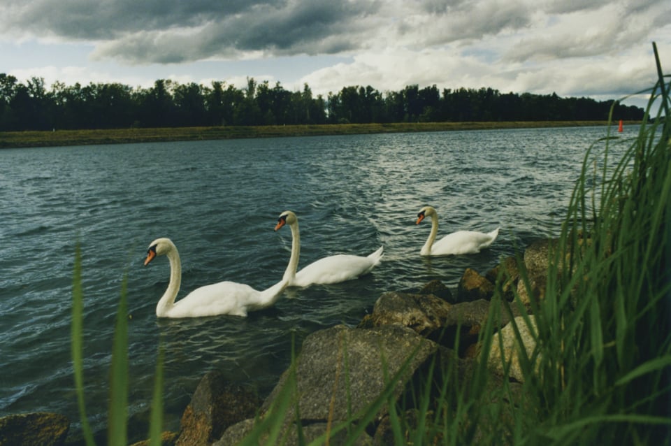 Exhibition image 3
