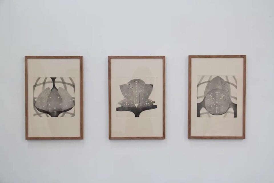 Exhibition image 2