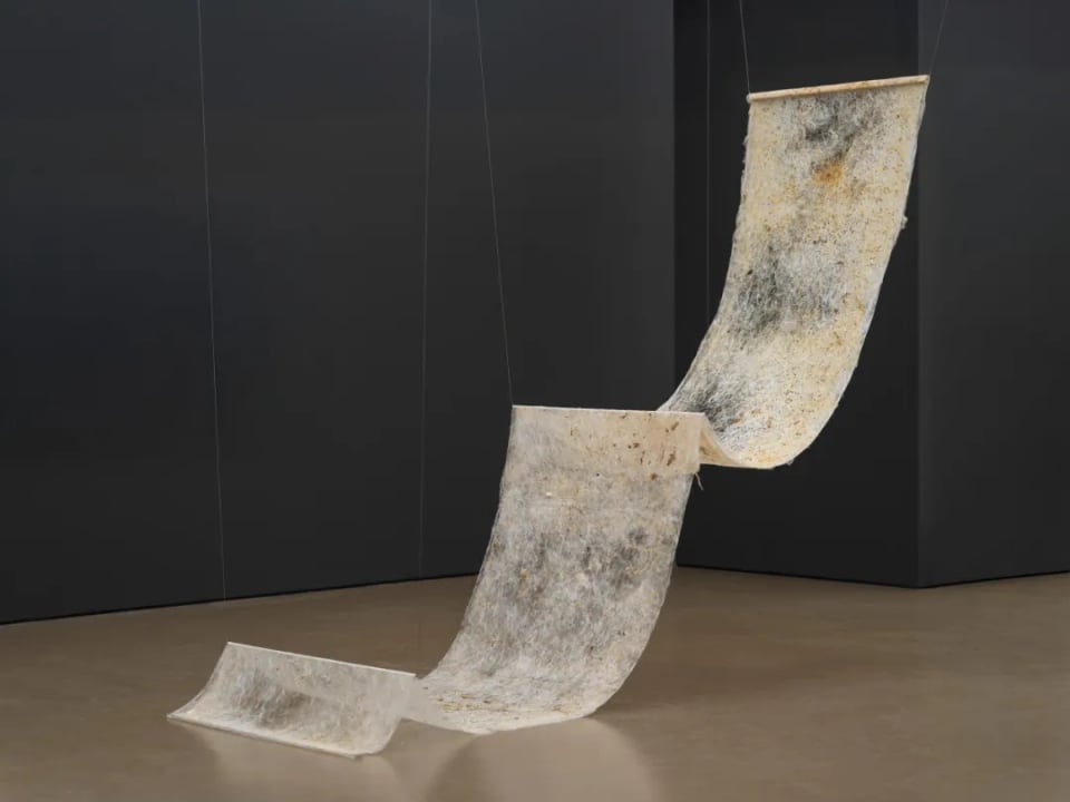 Exhibition image 1