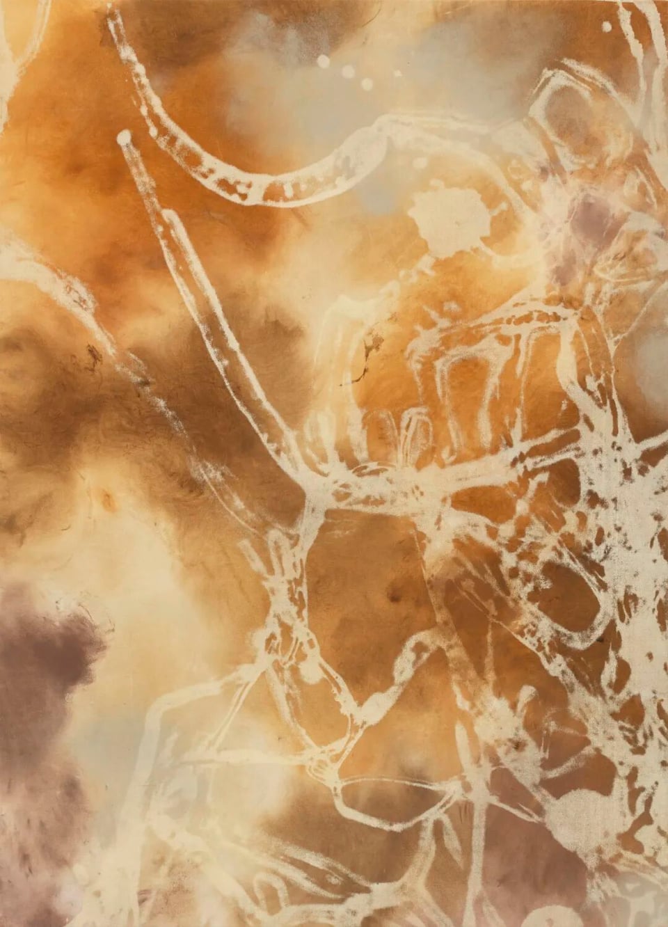 Exhibition image 7