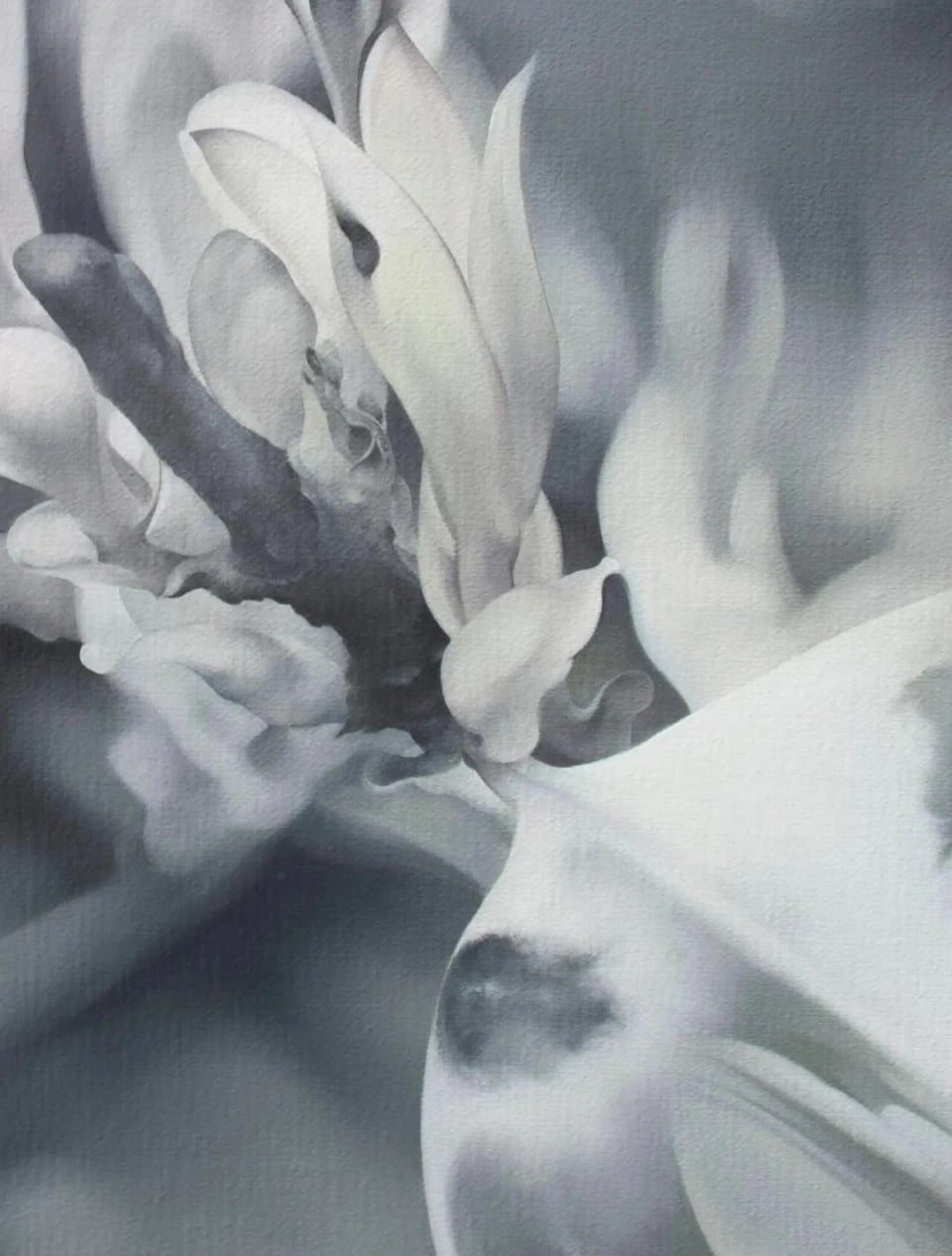 Exhibition image 2