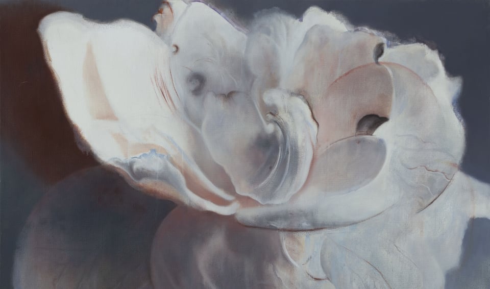 Xie Qi