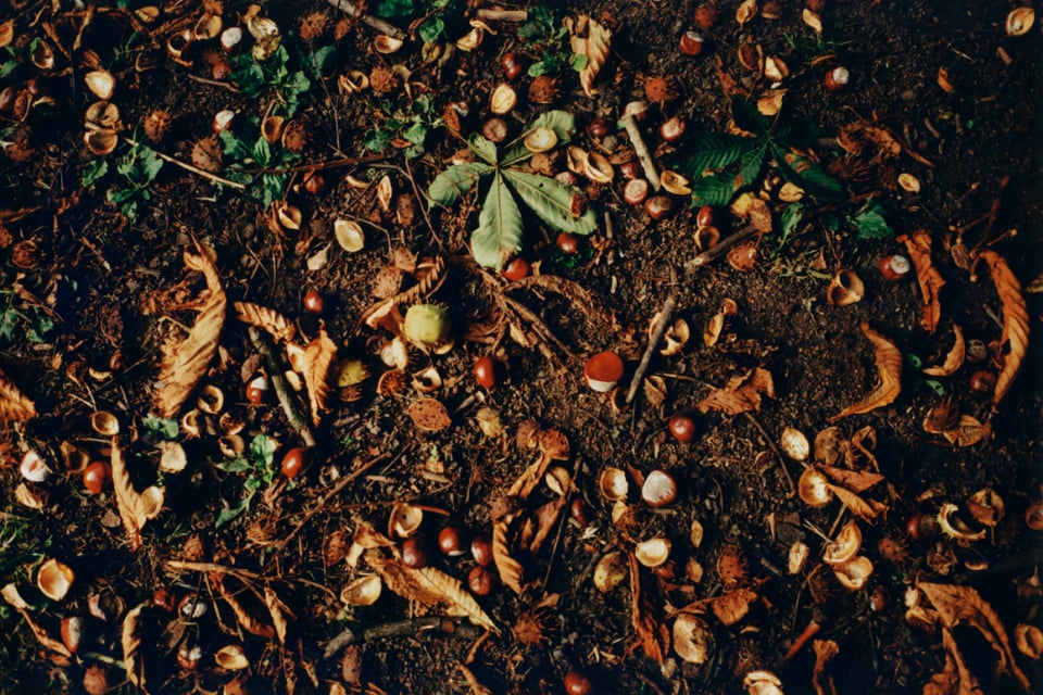 Exhibition image 4