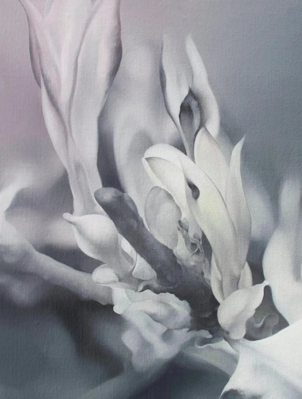 Exhibition image 1